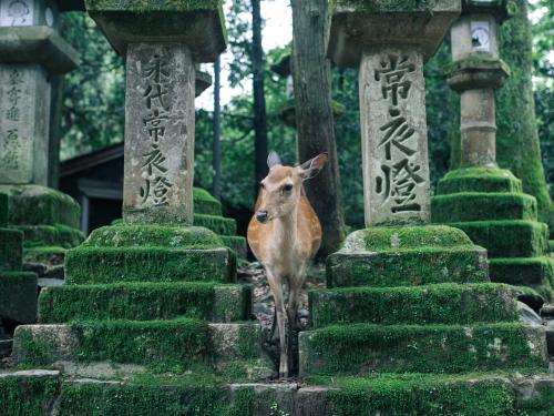 Nara