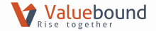 Valuebound_logo