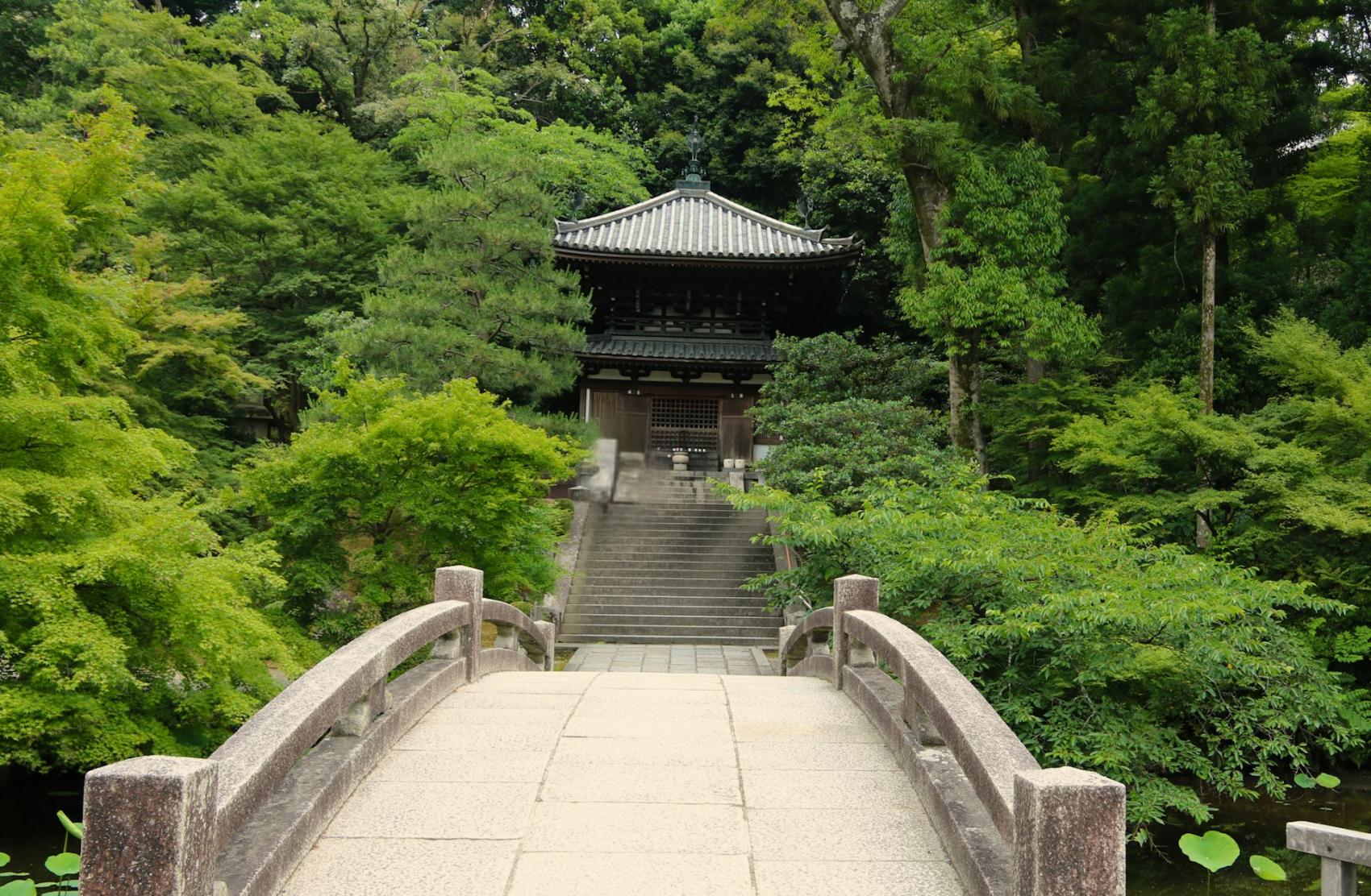 A photo of a temple in Nara, Japan, nestled in a lush green forest behind a stone arch bridge