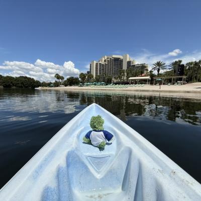 Bytes Kayak
